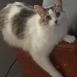 Meet your Posher, Valerie